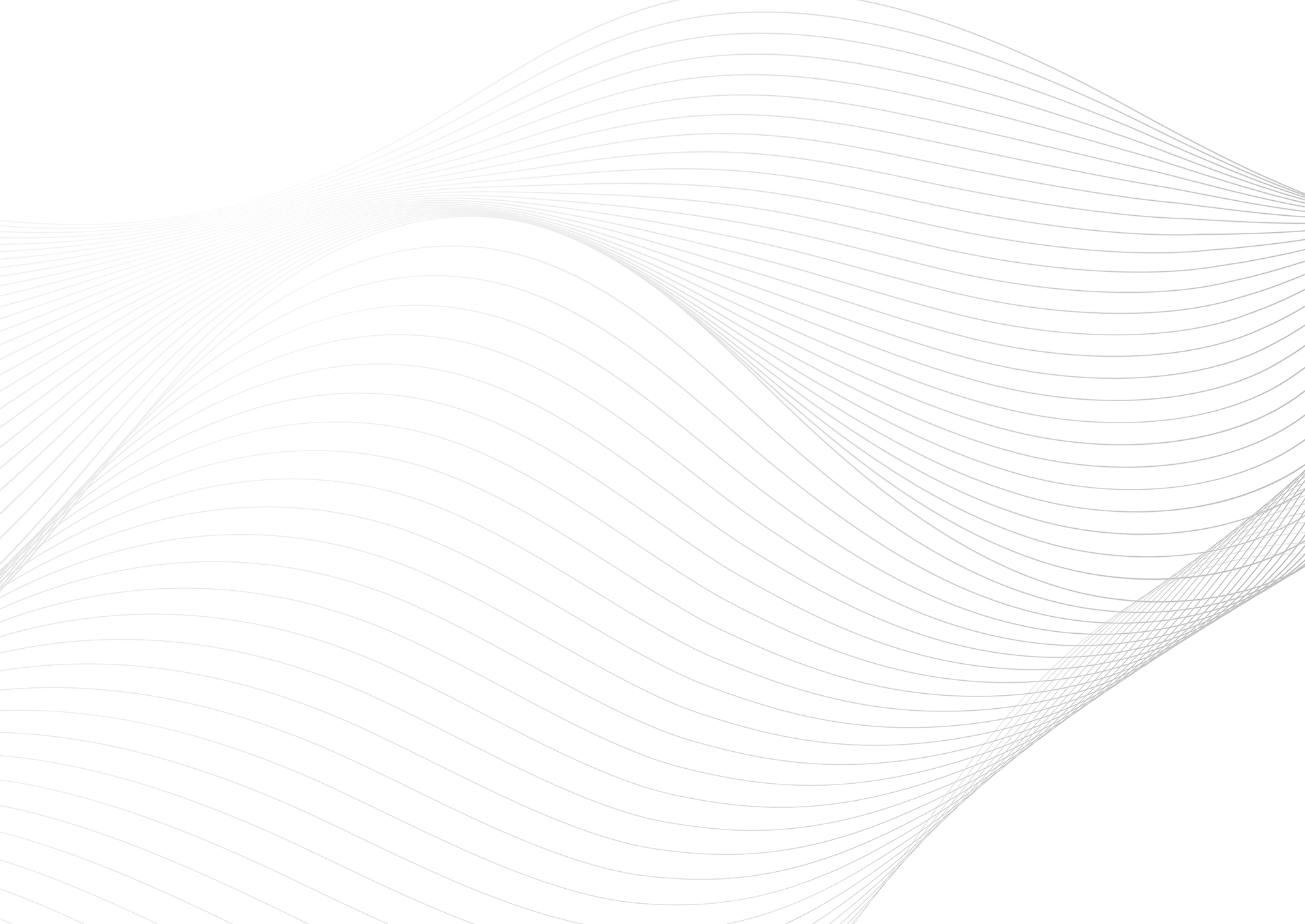 Web Site Tasarımcısı, Şabanözü